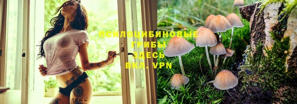 ECSTASY Беломорск