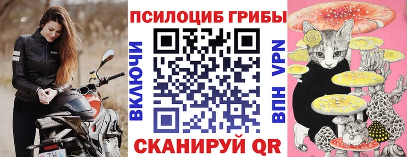 darknet Telegram  Холмск  Галлюциногенные грибы Cubensis  купить  сайты 